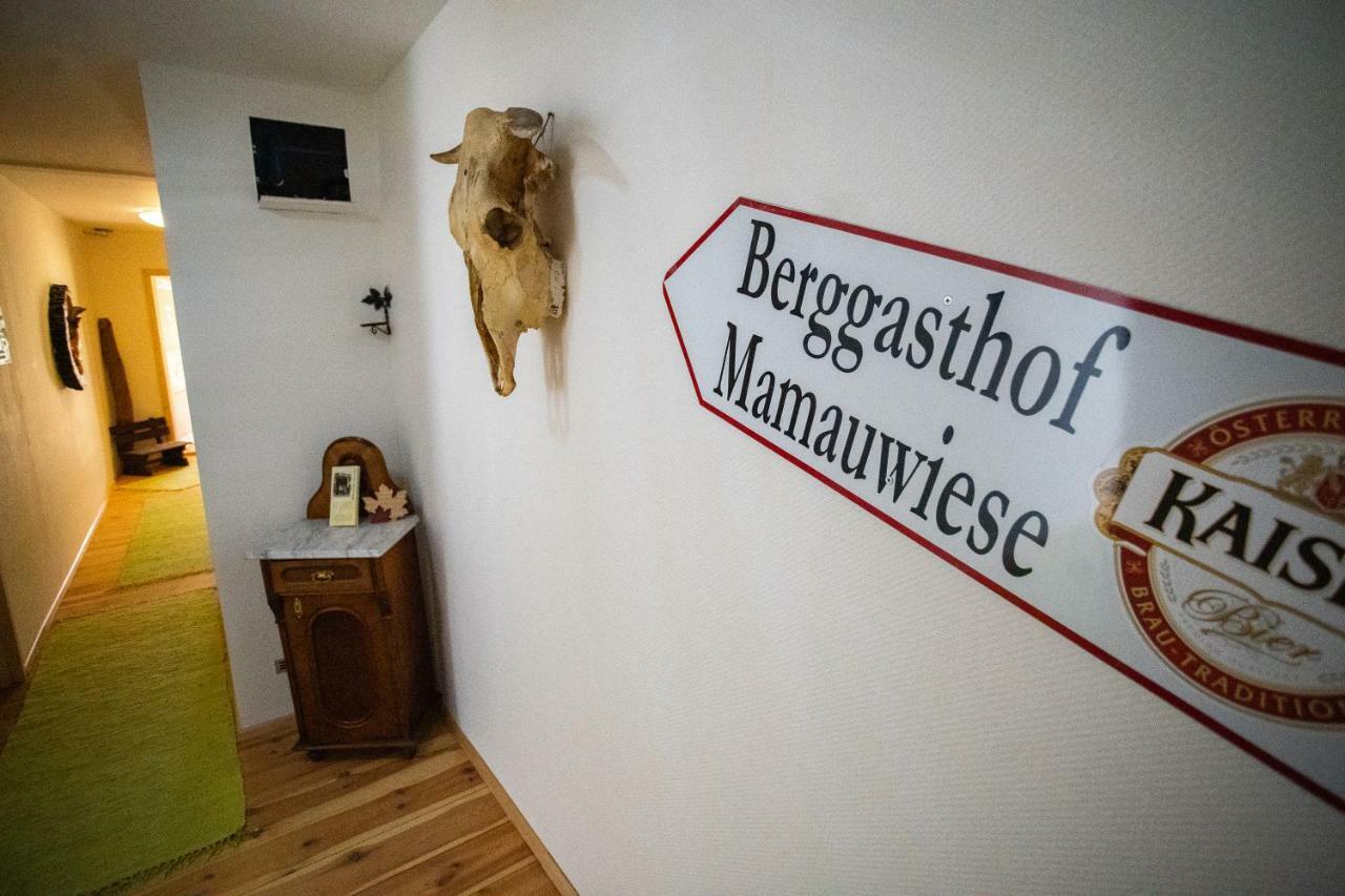 Ferienwohnungen Mamauwiese Gutenstein Exterior foto